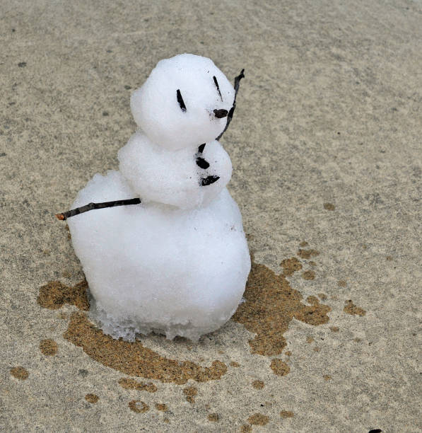 istock It's getting warm-Snowman-Indiana 1269157210