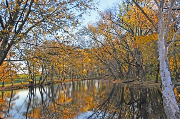 istock Beautiful Fall Colors reflected in a Creek-Howard County Indiana 1269157218