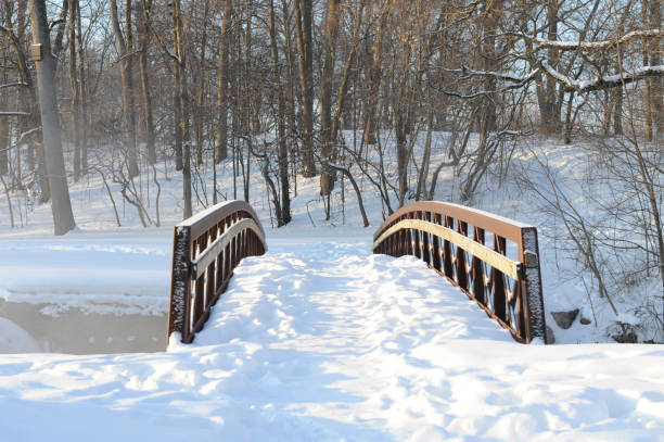 istock Walking Bridge after a snow storm-Howard County Indiana 1269157280