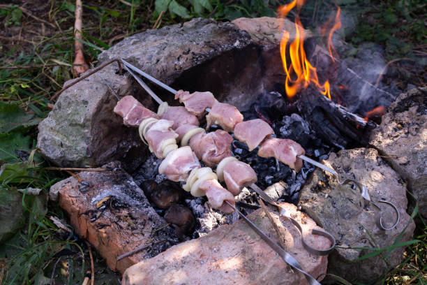 istock Meat kebab in nature 1269157964