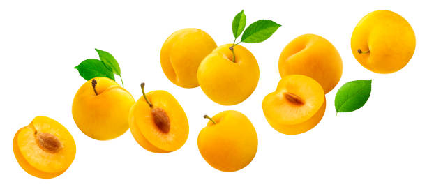istock Falling yellow plums with leaves isolated on white background 1269159100
