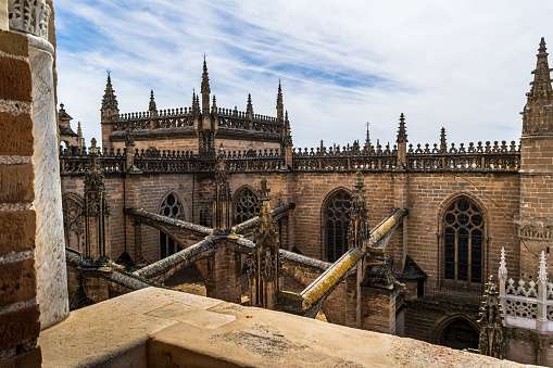 Architectural supports of the Cathedral of Seville as seen from the Giralda Tower