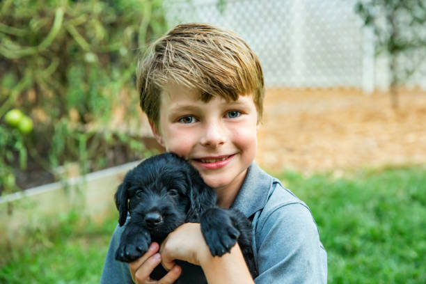istock Little boy holding a black labradoodle puppy 1269161471