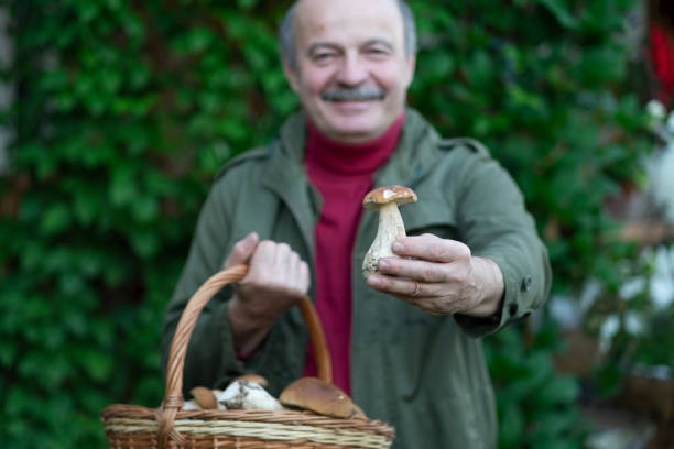istock Old man gathers mushrooms showing a cep from basket. 1269163657