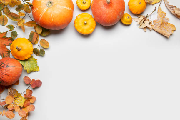 istock Frame of pumpkins and colorful maple leaves on grey with space for text. 1269163680