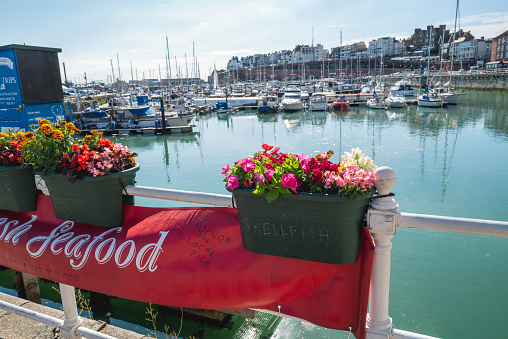 Ramsgate, UK - Aug 20th 2020  Pretty flowers in a tub  above a red banner advertising local seafood along the front of Ramsgate Royal harbour.