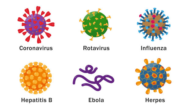Viruses cells icons on white background. Human viruses set with names. Viruses cells icons on white background. Vector illustration. ebola stock illustrations