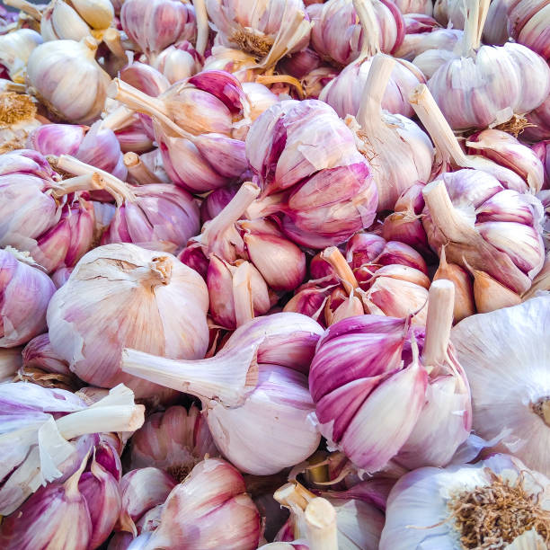 istock Full frame shot of garlic 1269170873