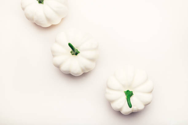 istock White Pumpkins. Autumn concept 1269170876