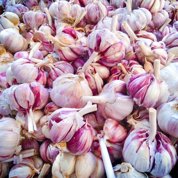 istock Full frame shot of garlic 1269170910