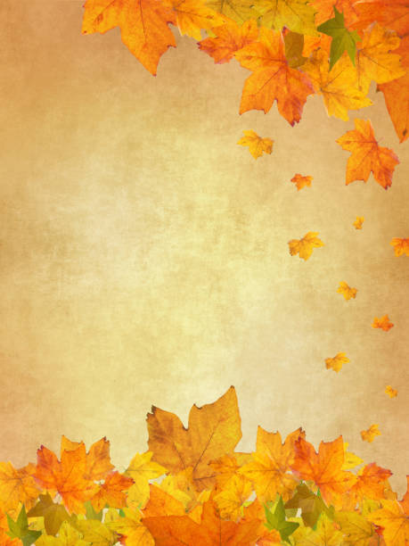 Vintage autumn card template