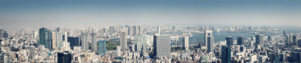 istock Panoramic view to the Tokyo, Japan from air 1269173638