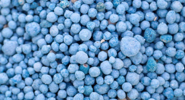 istock Close up of a blue chemical fertilizer texture for background usage. 1269176231