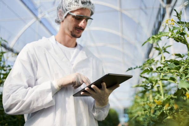 istock Young male agronomist using touchpad in greenhouse 1269177251