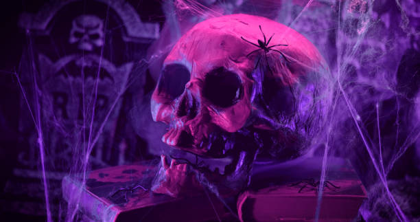 istock Halloween decoration with Skull, spider web and mist 1269181484