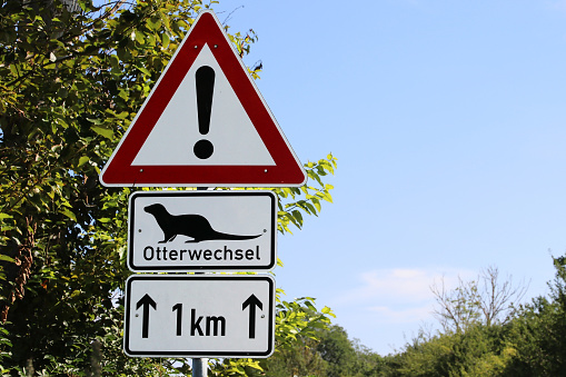 Road sign Attention Otter change. Otters can walk across the road
