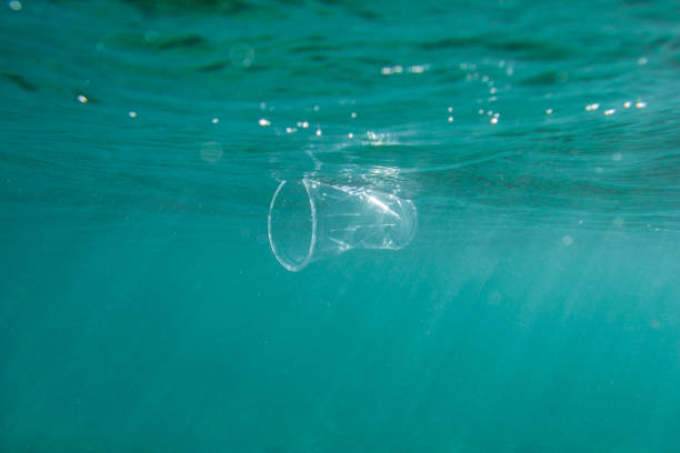 istock Plastic cup floats underwater in the open ocean. Environmental pollution concept. 1269190064