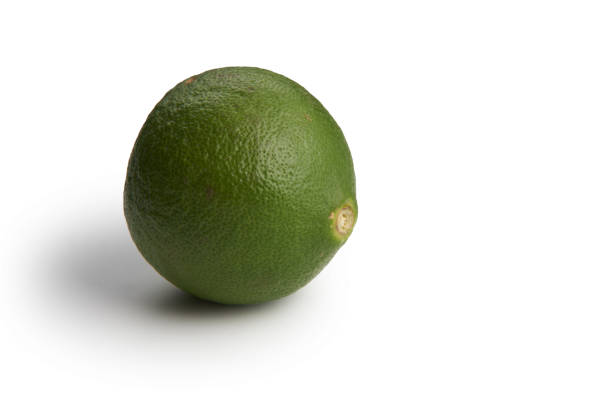 whole lime on white background