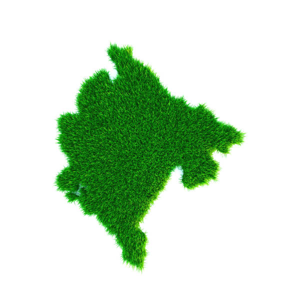 istock Grass map of Montenegro, isolated on white 1269201436
