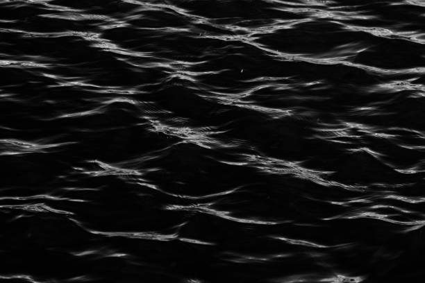 istock black and white water texture. background for the designer 1269201575