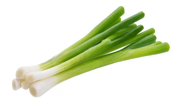 Photo of Green onion, fresh chives isolated on white background