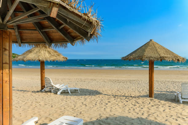 istock sun loungers and shelters on a beach 1269206758