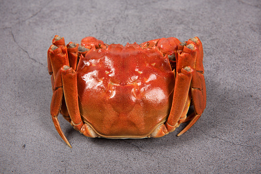 steamed chinese mitten crab, shanghai hairy crab isolated on stone background