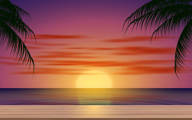 illustrazioni stock, clip art, cartoni animati e icone di tendenza di camera in bianco e nero - beach sunset sand wood