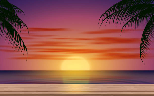 black and white room wooden table on the beach in the morning beach wallpaper stock illustrations