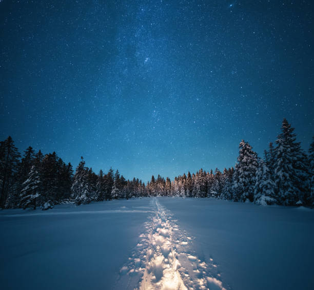 Photo of Winter Path