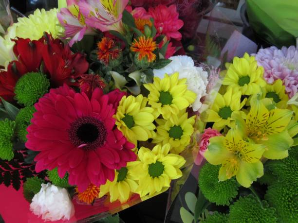 istock pretty Bright Closeup Colorful Flowers Bouquet On Display 1269227310