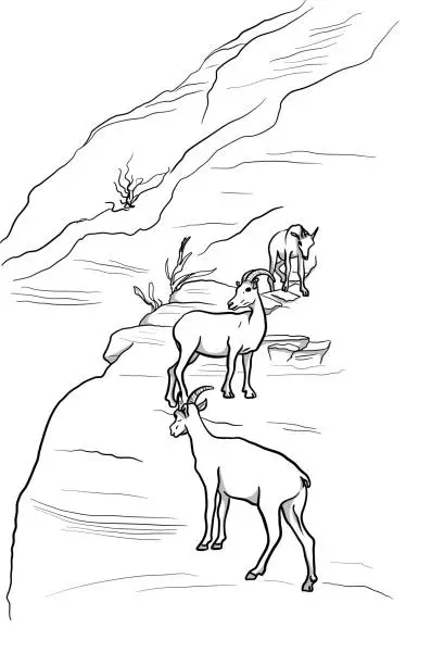 Vector illustration of Mountain Goats Family Unit