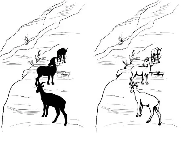 Vector illustration of Mountain Goats Family Unit Silhouette