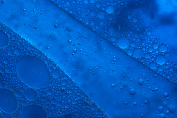 istock Close up beautiful abstraction phantom blue color light water. Background pattern for design. Macro photography view. 1269236212