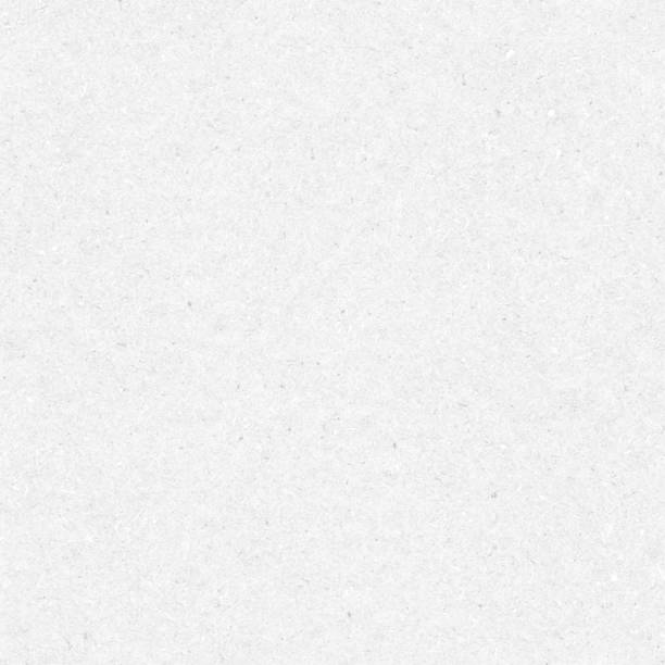 istock Beautiful modern flattened imprinted handmade paper in shades of light gray - seamless vector stock illustration  with a wide natural variety of ingredients visible - construction material - pressed raw concrete formwork 1269240241