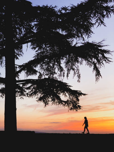 istock Woman silhouette walking at sunset. 1269243069