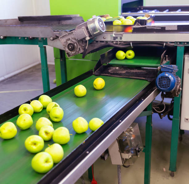istock Fresh apples running on rolling conveyor of production line 1269250912