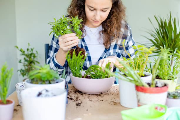 istock Planting flowers 1269254173