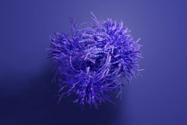 istock 3D illustration of a large purple deciduous tree 1269259702
