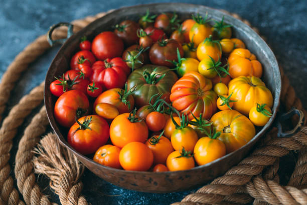 istock tomatoes of different colors are displayed as a gradient on a dark background. 1269259703