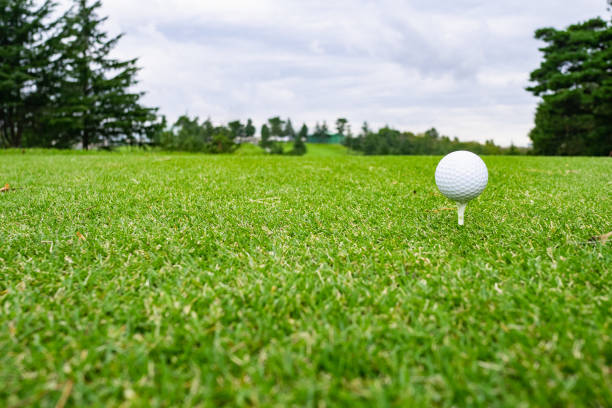 istock Golf Course with golf ball. Golf course with a rich green turf beautiful scenery. 1269262865