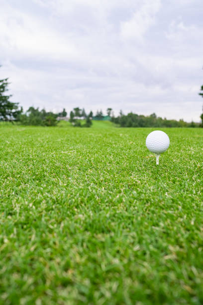 istock Golf Course with golf ball. Golf course with a rich green turf beautiful scenery. 1269262879