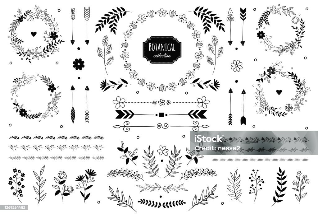 Bunga Ranting Elemen Elemen Bunga Vektor Yang Digambar Dengan Tangan Ranting Dan Daun ...