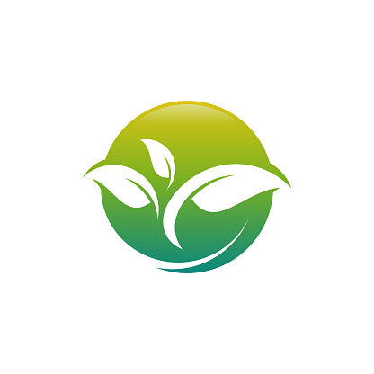 Leaf Creative Concept Logo Design Template Abstract Green Leaf Logo ...