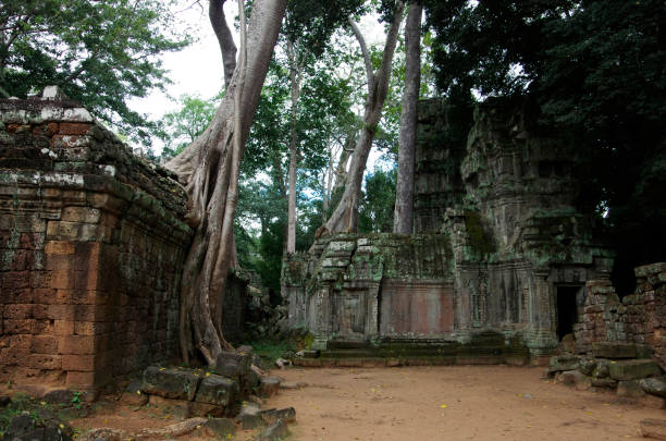 istock Ruins of Angkor Wat 1269266837