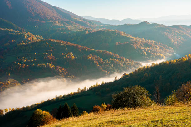 istock foggy morning in autumn mountains 1269268259