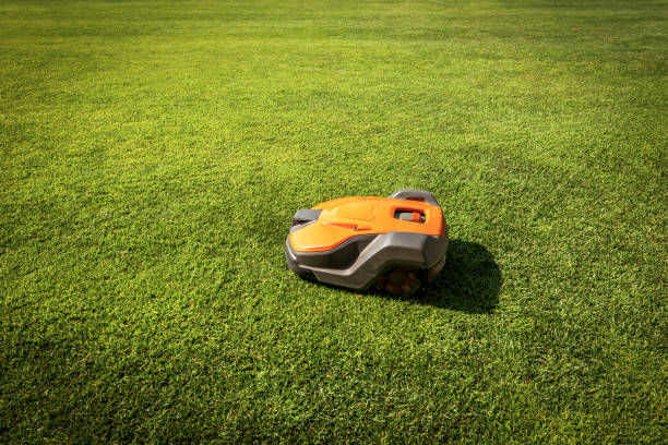 istock Automatic lawn mower robot moves on the green grass 1269268272