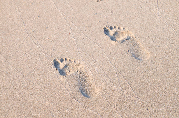 istock Footprints in the wet sea sand closeup 1269268553