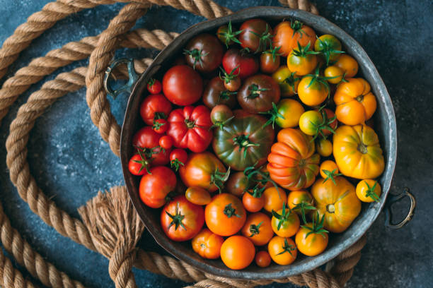 istock tomatoes of different colors are displayed as a gradient on a dark background. 1269270154