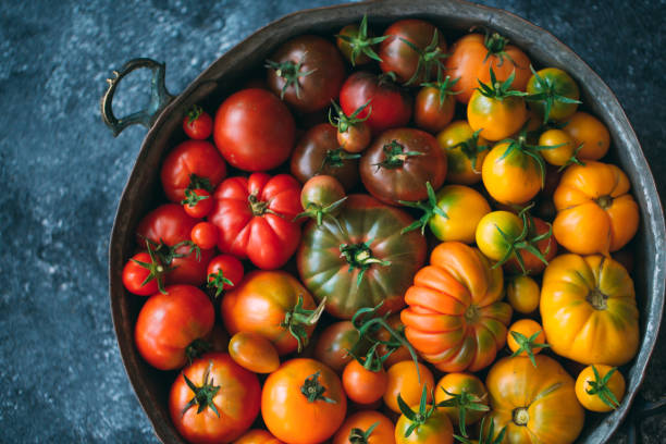 istock tomatoes of different colors are displayed as a gradient on a dark background. 1269270210